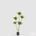EDG Enzo De Gasperi Yucca con Vaso Pianta Artificiale 100 cm.