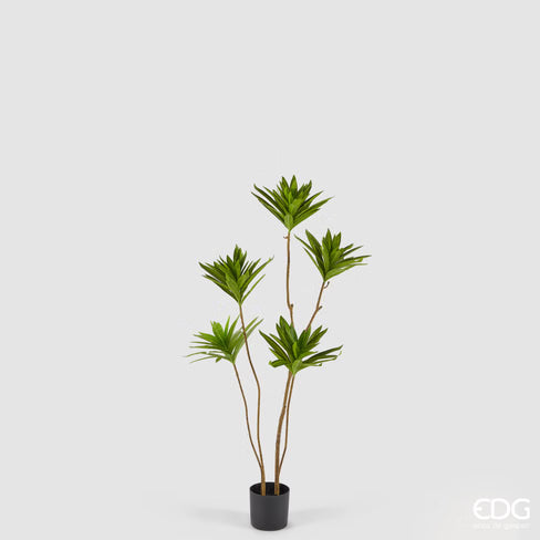 EDG Enzo De Gasperi Yucca con Vaso Pianta Artificiale 100 cm.