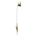 Pick Ramo con Colibrì in Metallo Anticato 211 cm.