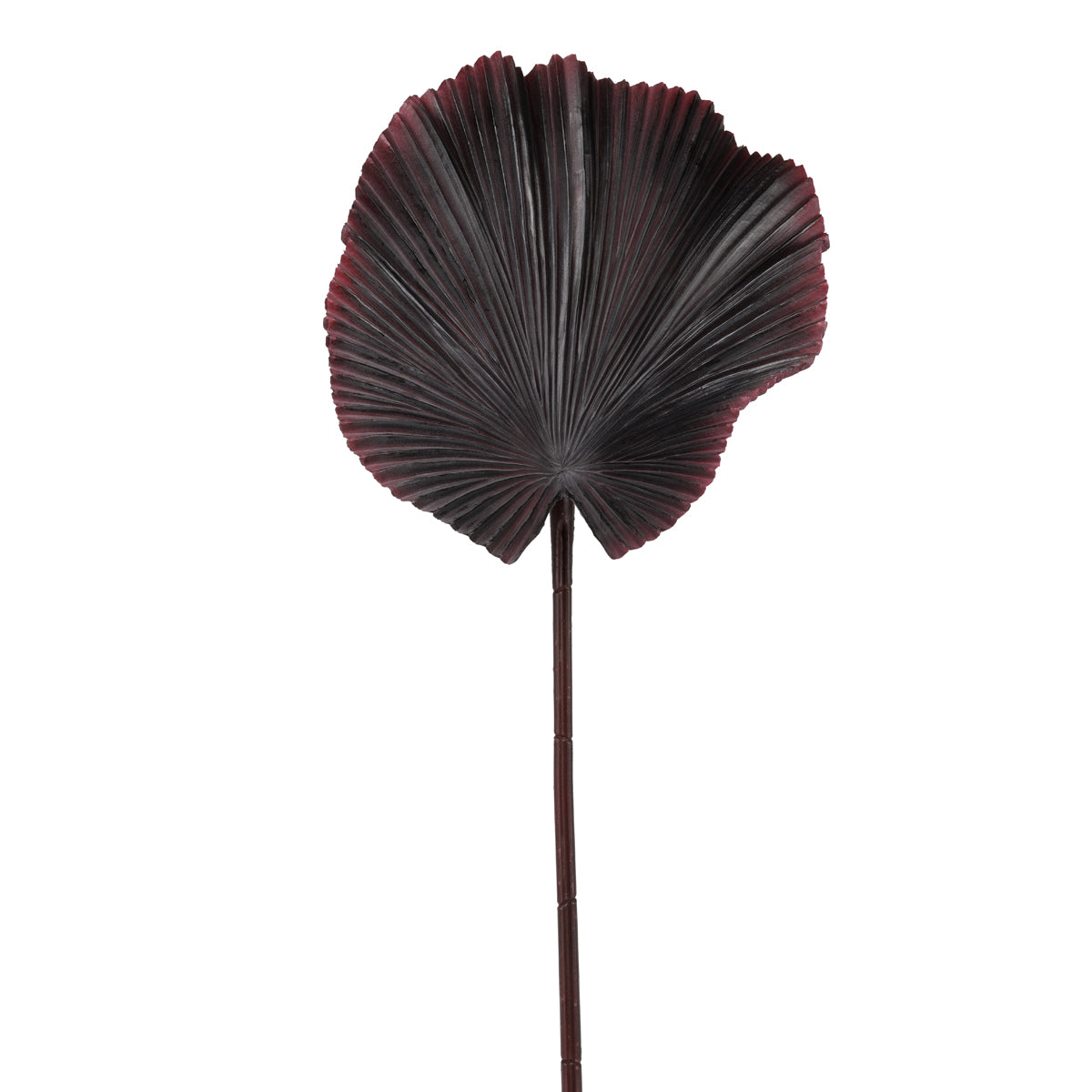 Foglia di Palma Rossa Artificiale 75 cm.