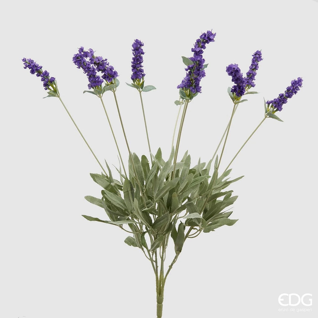 Lavanda EDG Cespuglio 10 Rami Fioriti  52 cm.