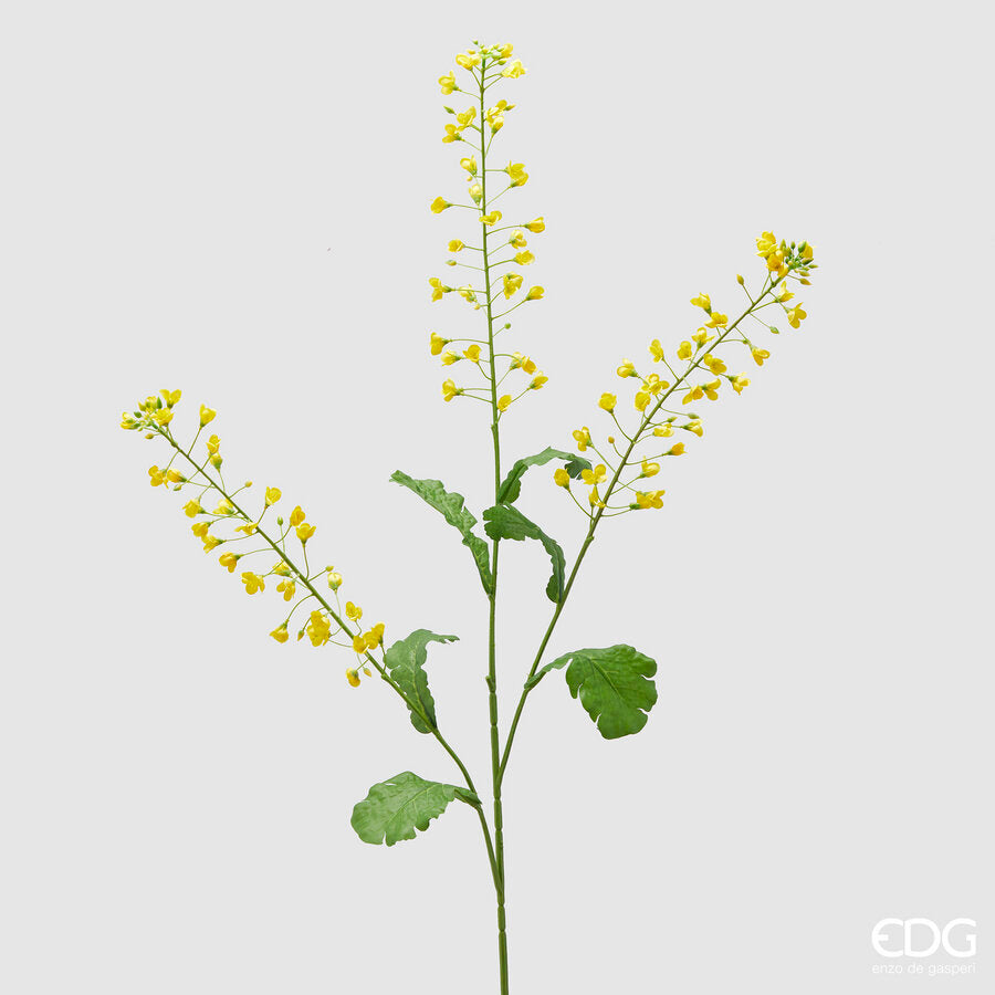 Colza EDG 3 Rami con Foglie 115 cm.
