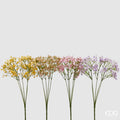 Gypsophila EDG Cespuglio 5 Rami 40 cm.