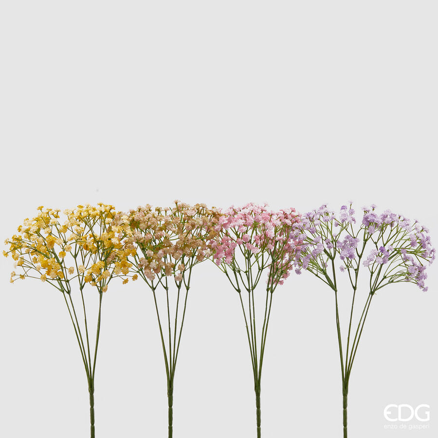 Gypsophila EDG Cespuglio 5 Rami 40 cm.