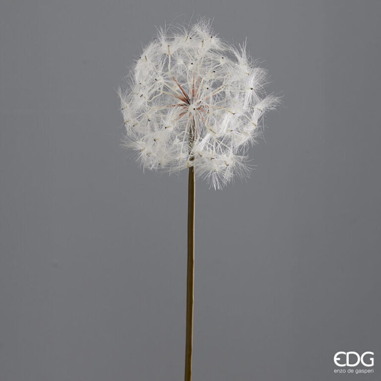 Tarassaco Jumbo EDG 70x16 cm.
