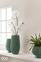 Tarassaco Jumbo EDG 70x16 cm.