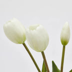 Tulipani EDG Mazzo da 5 con Foglie 40 cm.