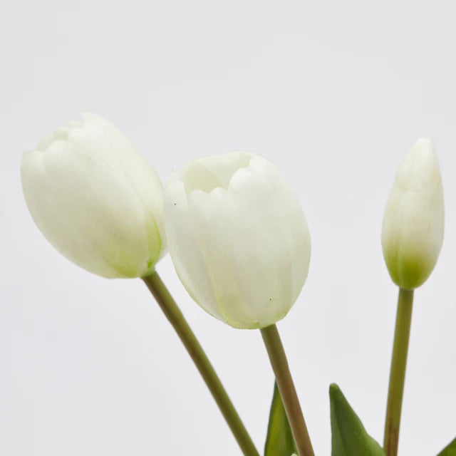 Tulipani EDG Mazzo da 5 con Foglie 40 cm.