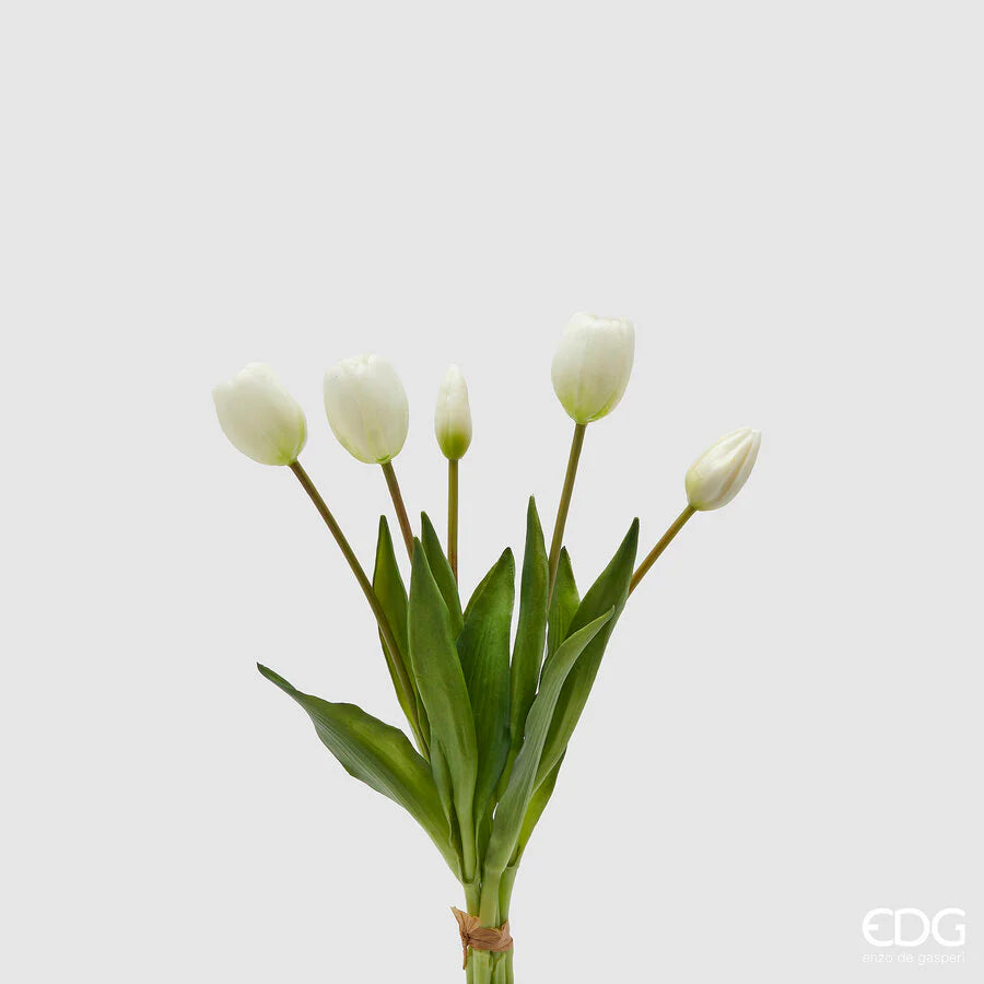 Tulipani EDG Mazzo da 5 con Foglie 40 cm.