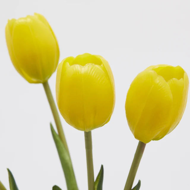 Tulipani EDG Mazzo da 5 con Foglie 40 cm.