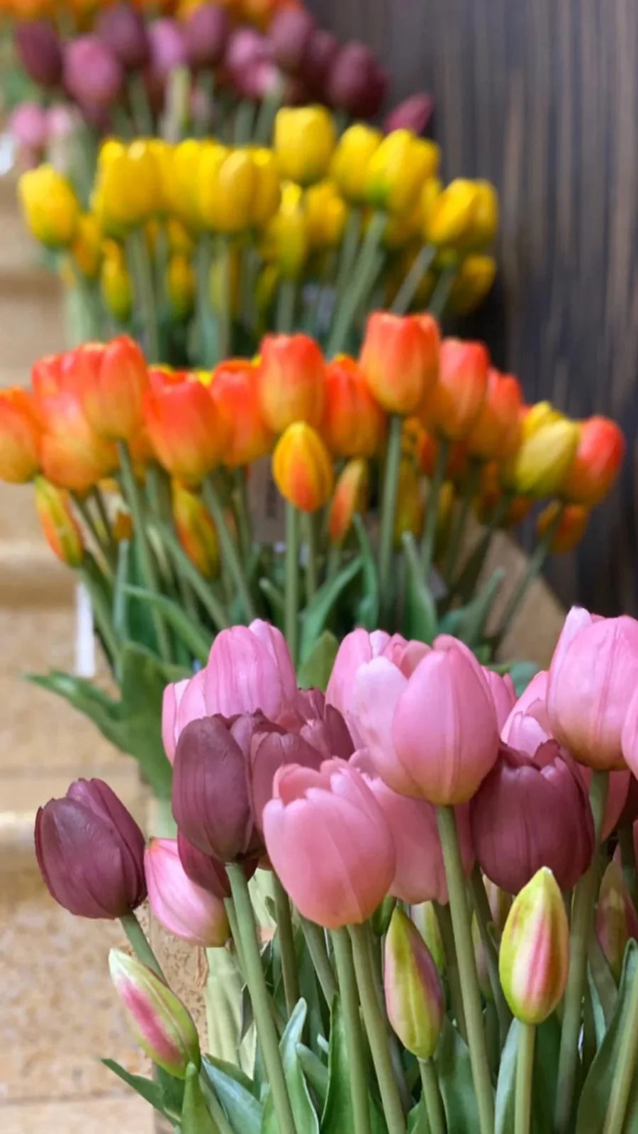 Tulipani EDG Mazzo da 5 con Foglie 40 cm.