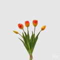Tulipani EDG Mazzo da 5 con Foglie 40 cm.