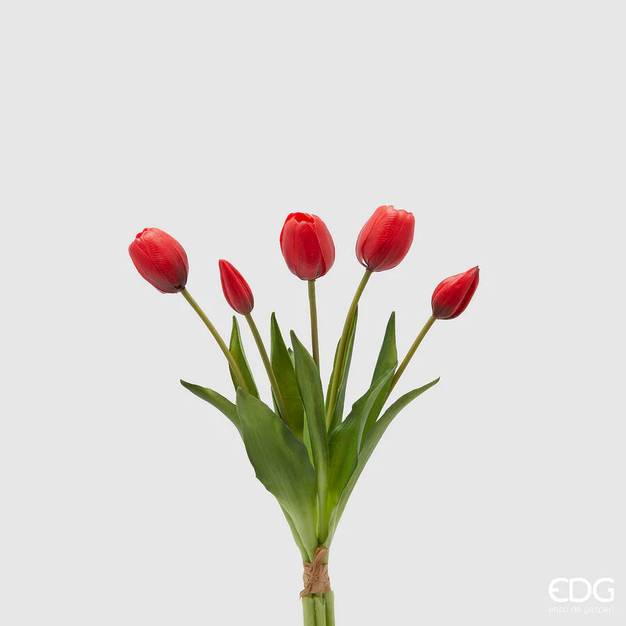 Tulipani EDG Mazzo da 5 con Foglie 40 cm.