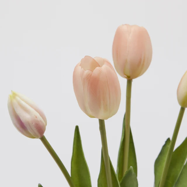 Tulipani EDG Mazzo da 5 con Foglie 40 cm.