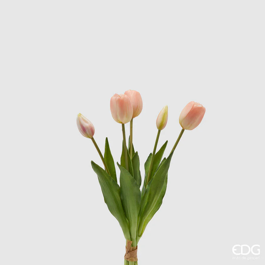 Tulipani EDG Mazzo da 5 con Foglie 40 cm.