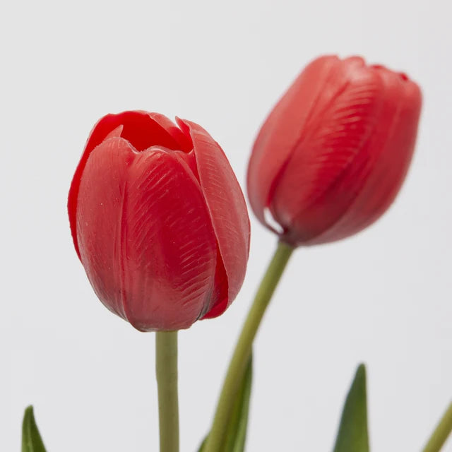 Tulipani EDG Mazzo da 5 con Foglie 40 cm.