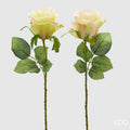 Rosa EDG Ramo con Foglie 52 cm.