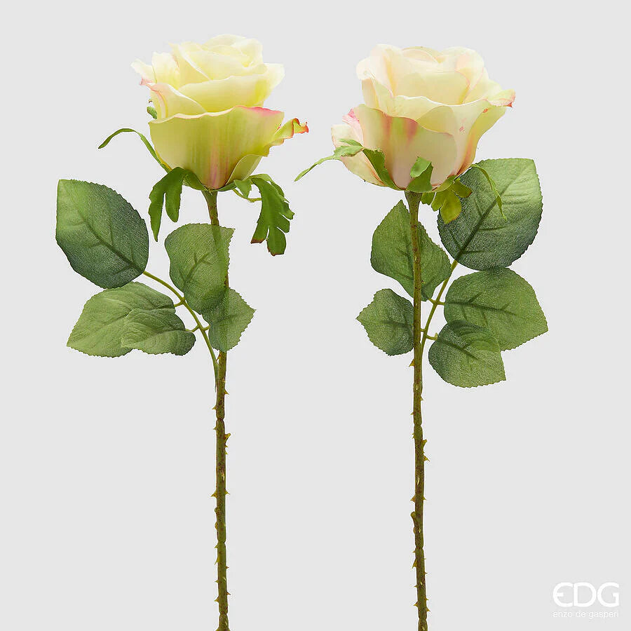 Rosa EDG Ramo con Foglie 52 cm.