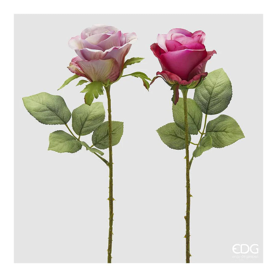 Rosa EDG Ramo con Foglie 52 cm.