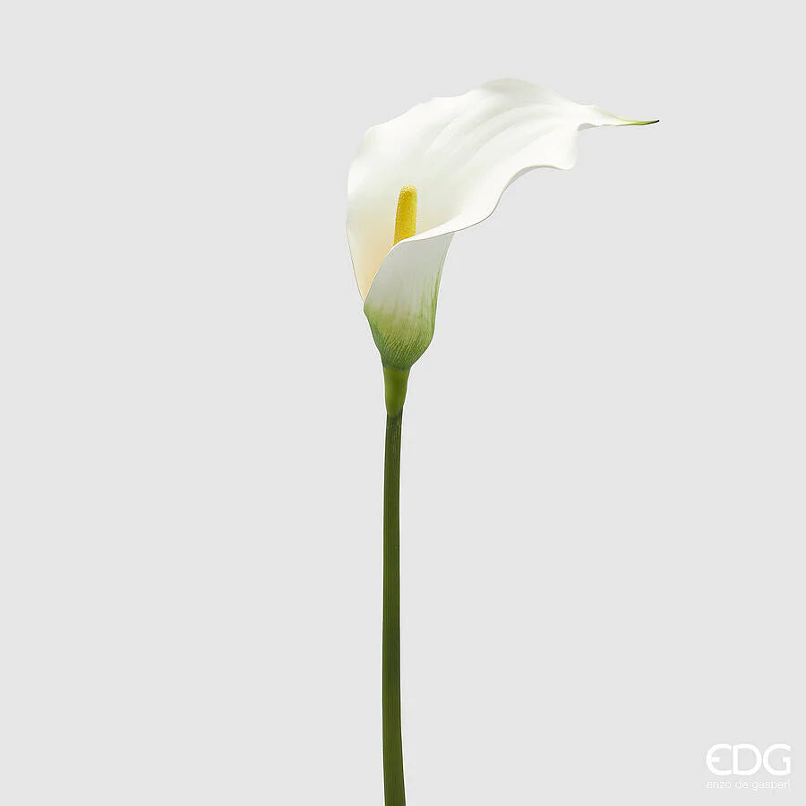 Calla EDG Fiore 75 cm.