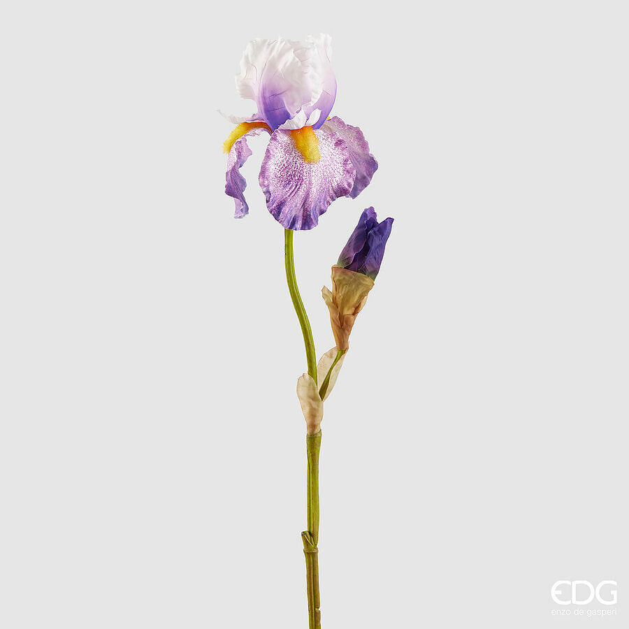 Iris EDG Ramo con Boccio 85 cm.