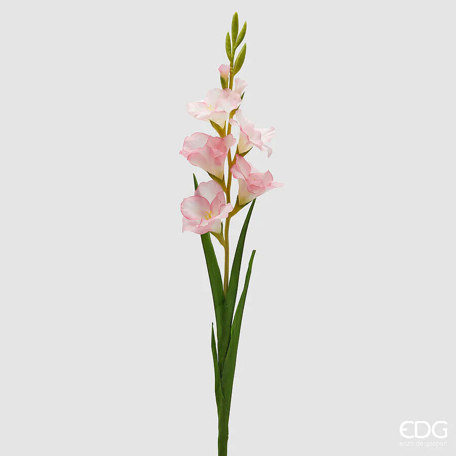Gladiolo EDG Ramo con 5 Fiori 90 cm.