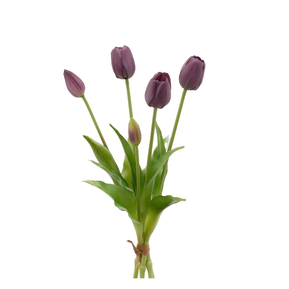 Tulipani EDG Mazzo da 5 con Foglie 40 cm.