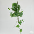 Potus EDG Cespuglio Cadente 38 Foglie 122 cm.