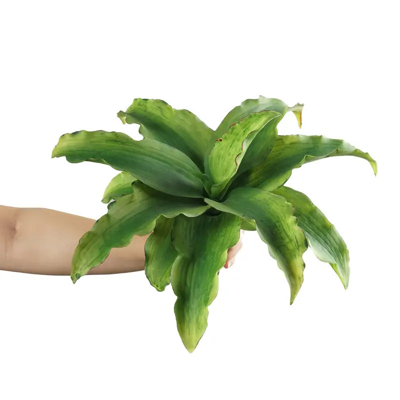 EDG Aloe Real Touch Pianta Artificiale H. 25 cm. D. 33 cm.