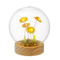 Palais Royal Cupola in Vetro con Fiori di Girasole e Luce LED 12cm.