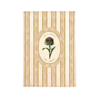 Blanc MariClò Canovaccio Pomario Righe in Cotone 50 x 70 cm.