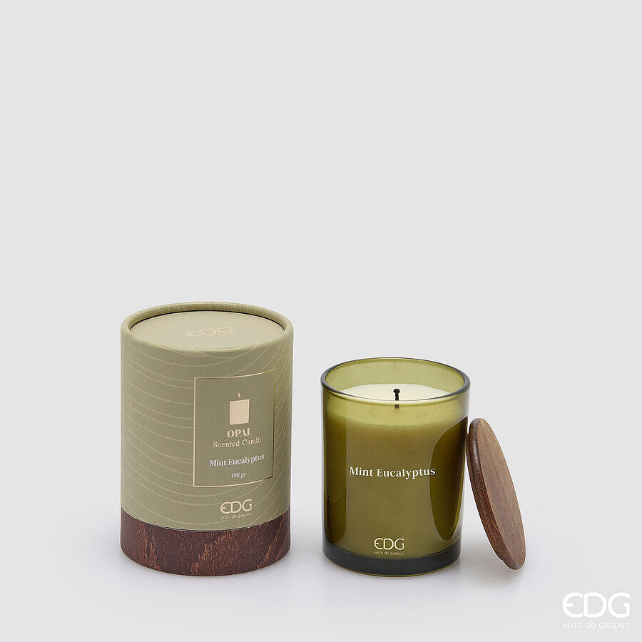 EDG Enzo De Gasperi Candela Profumata Opal Mint Eucalyptus 190 gr.
