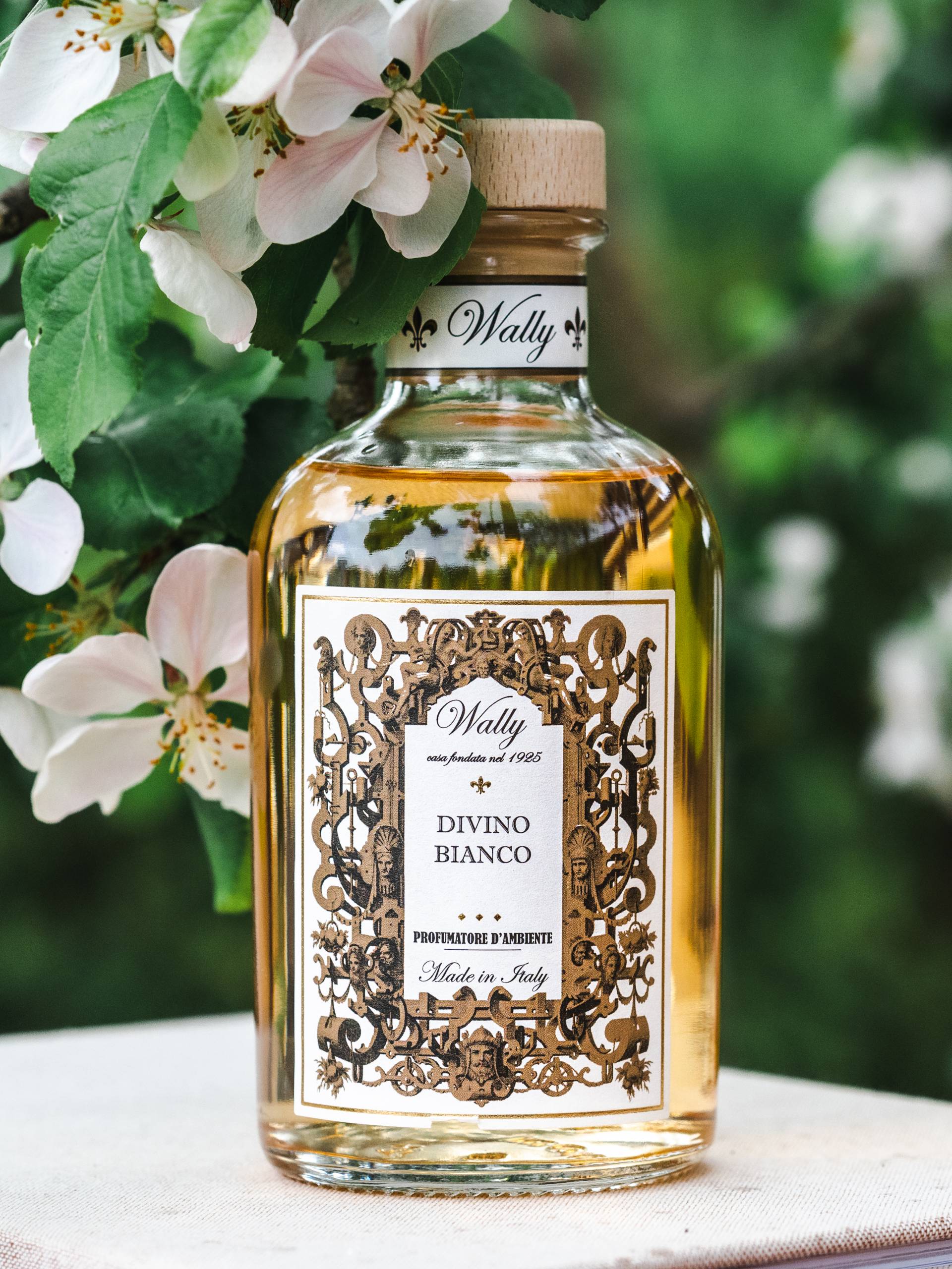 Wally 1925 Divino Bianco