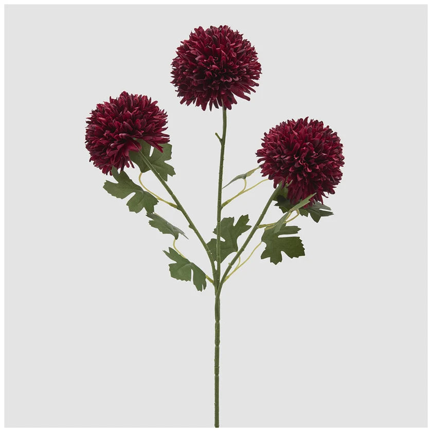 EDG Enzo De Gasperi Dalia Ponpon Bliss Ramo x3 Burgundy H 65 cm.