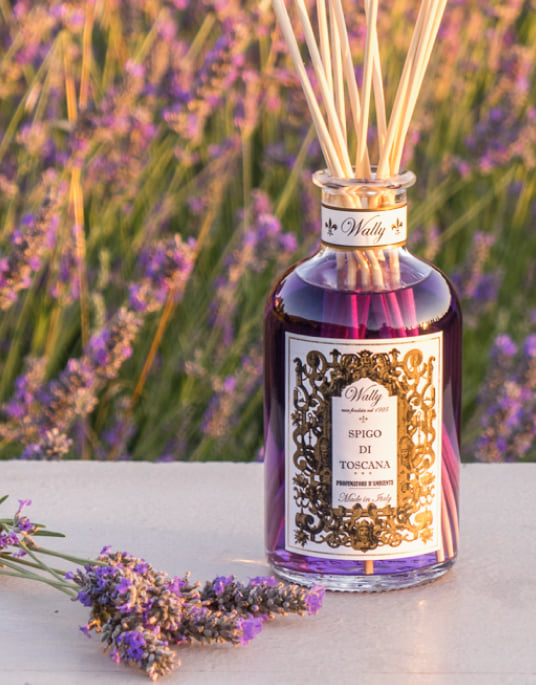 Wally 1925 Spigo Di Toscana