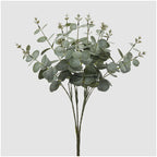 Eucalipto EDG Cespuglio 16 Rami 50 cm.