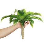 EDG Aloe Real Touch Pianta Artificiale H. 25 cm. D. 33 cm.