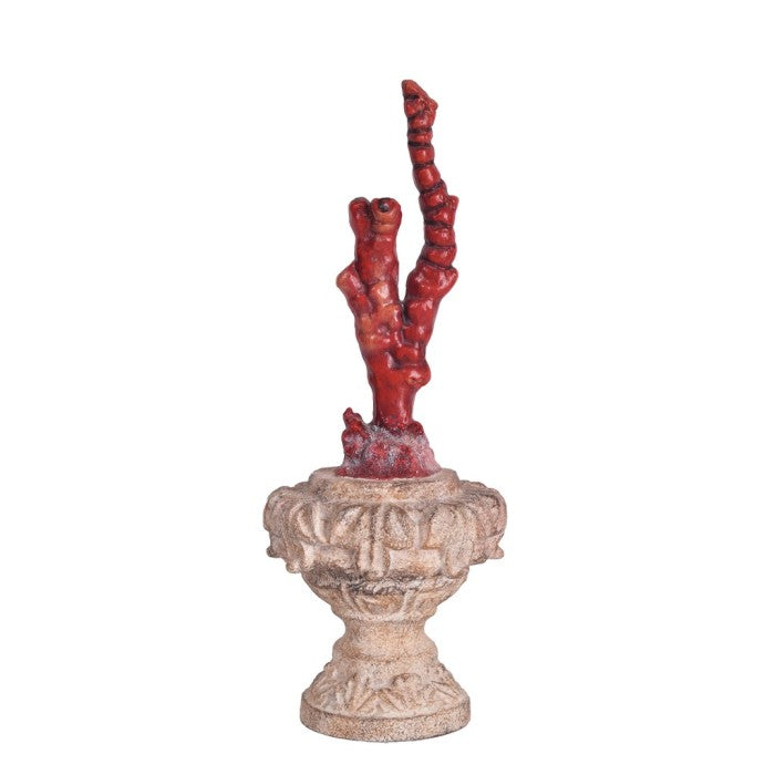 Decoro con Corallo Riviera Collection 30,5 cm.