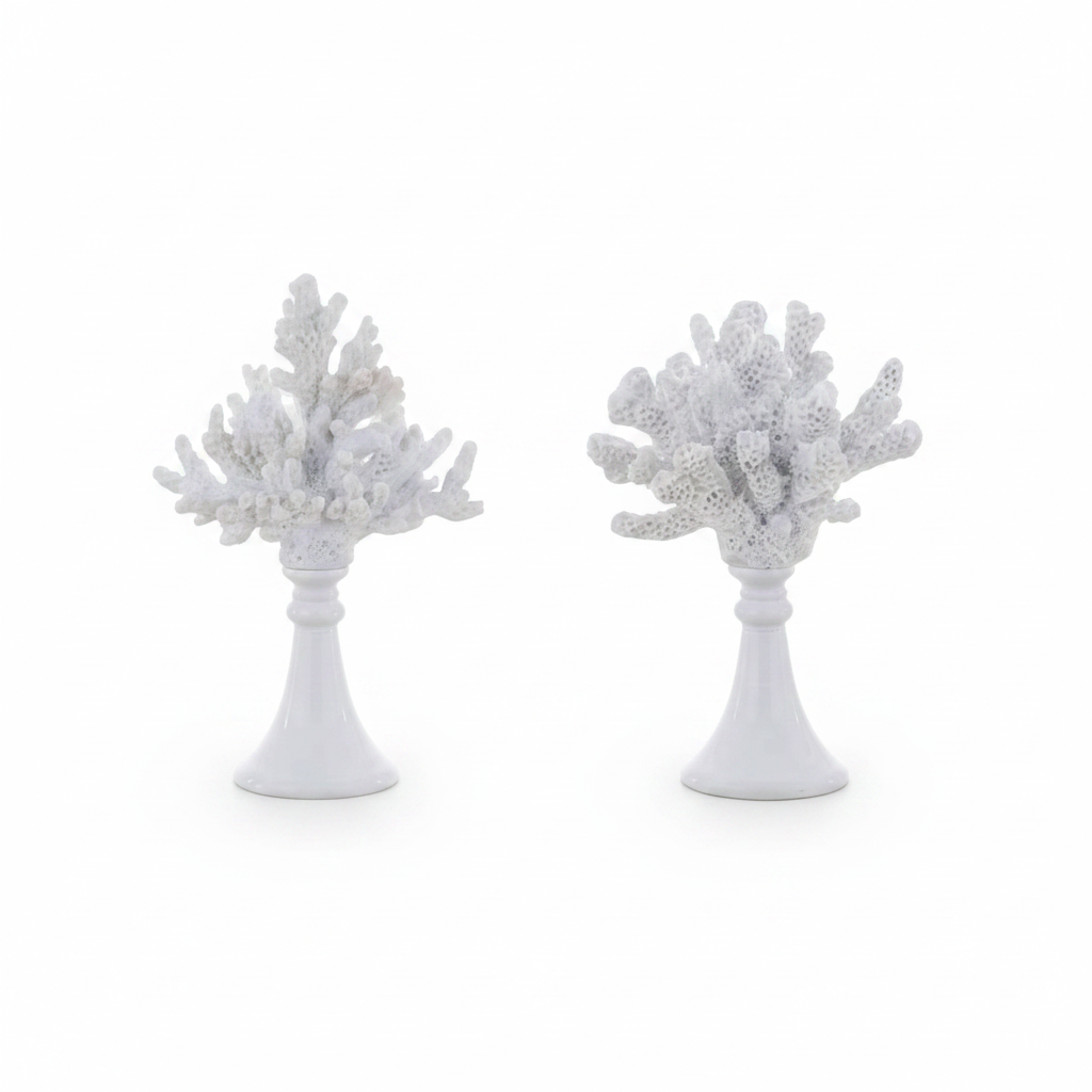 Decoro Corallo Anemone Collection - catalogo sfondo bianco