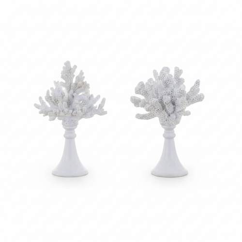 Decoro Corallo Anemone Collection - catalogo sfondo bianco