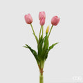Tulipani EDG Mazzo da 5 con Foglie 40 cm.
