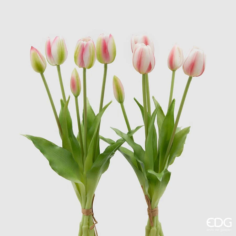 Tulipani EDG Mazzo da 5 con Foglie 40 cm.
