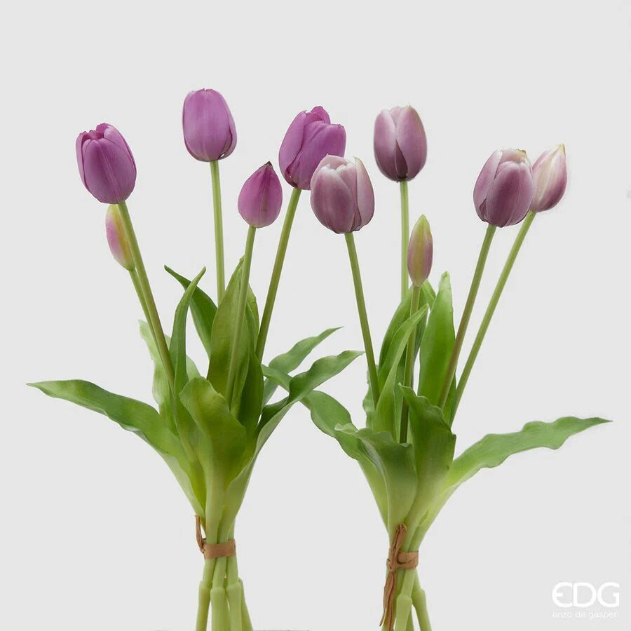 Tulipani EDG Mazzo da 5 con Foglie 40 cm.