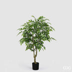 Ficus Beniamino con Vaso EDG Vogue Collection 156 cm.