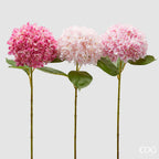 Ortensia EDG Ramo con Foglie 65 cm.