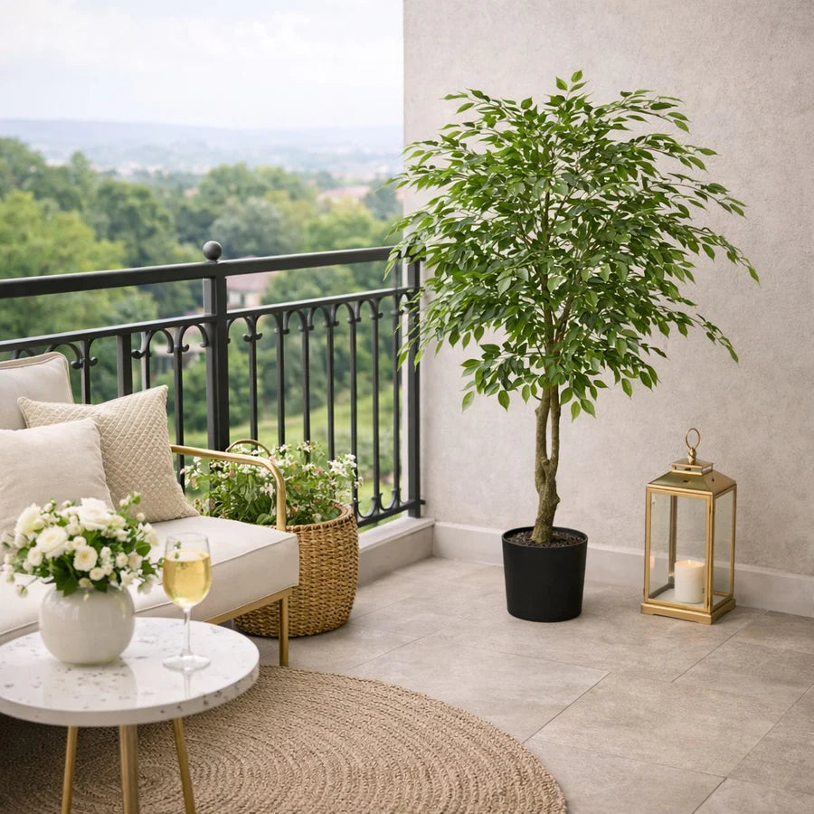 Ficus Beniamino con Vaso EDG Vogue Collection 156 cm.
