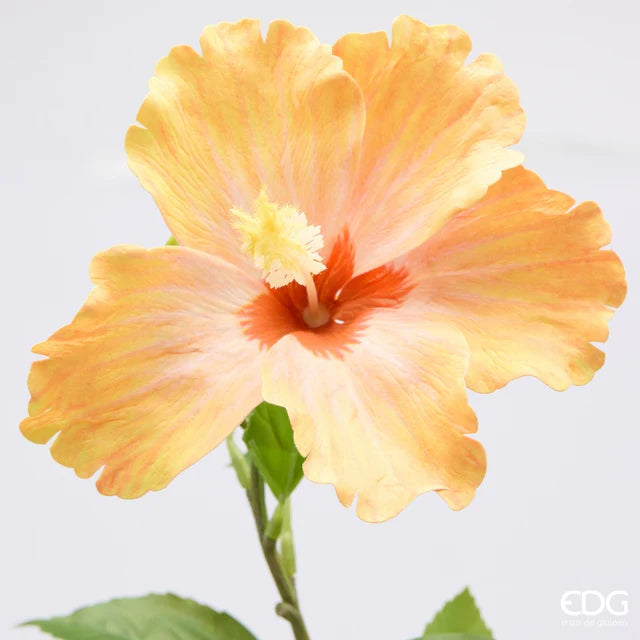 Hibiscus EDG Ramo 4 Fiori con Foglie 90 cm.