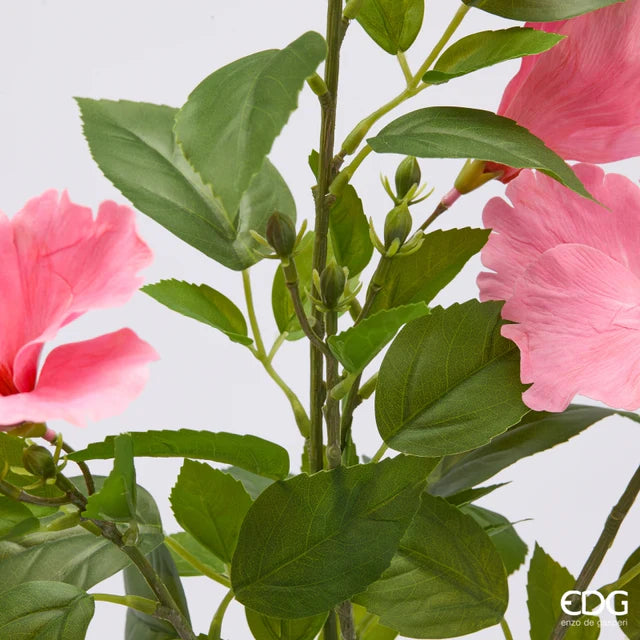 Hibiscus EDG Ramo 4 Fiori con Foglie 90 cm.