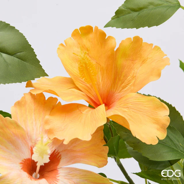 Hibiscus EDG Ramo 4 Fiori con Foglie 90 cm.