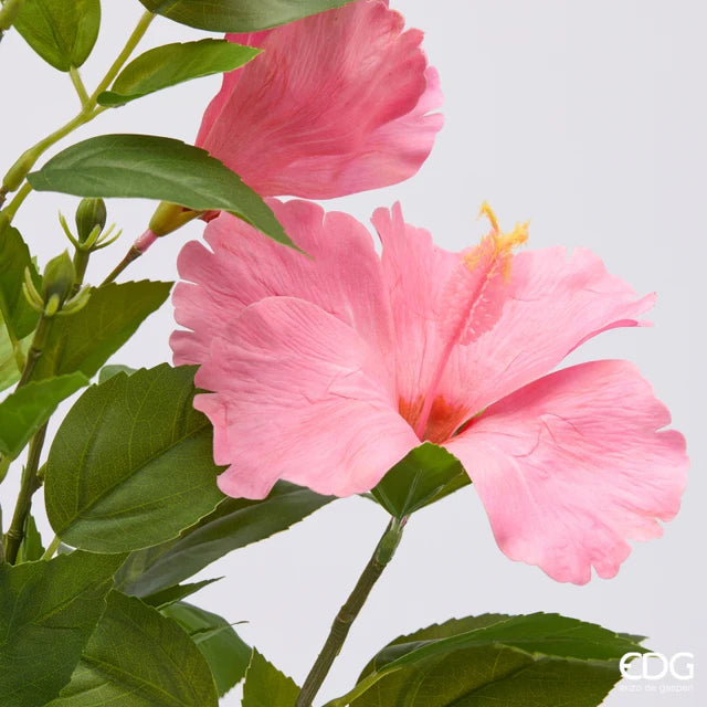 Hibiscus EDG Ramo 4 Fiori con Foglie 90 cm.